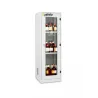 Safety cabinet for chemicals and corrosive substances with glazed doors size M 600 x 600 x 1950 mm