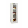 Safety cabinet for chemicals and corrosive substances with glass doors size M 600 x 600 x 1950 mm