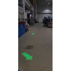 Projektor bezpieczeństwa LED 4signal 25W, zielony