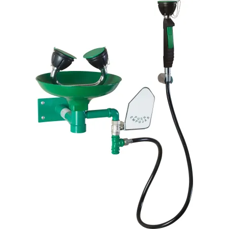 Wall-mounted eyewash with tray and additional shower head