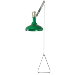 Ceiling-mounted shower