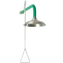 Emergency ceiling shower - stainless steel element