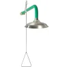 Emergency ceiling shower - horizontal supply, stainless steel element