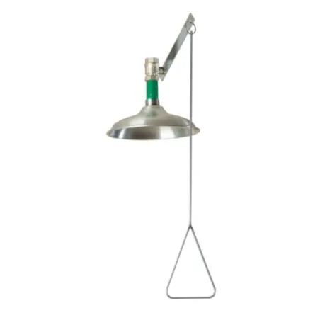 Ceiling-mounted shower, stainless steel
