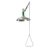 Ceiling-mounted shower, stainless steel