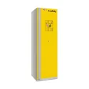 Fireproof cabinet BASIC size M 90 min 600 x 600 x 2050 mm