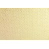 Sorbent dwuwarstwowy, mata chemiczna 40 x 50 cm, 100 szt, 6,4 kg