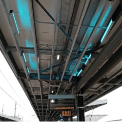 Projektor LED LINEAR-FLY odstraszający ptaki migotanie linniowe 35W