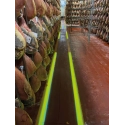 Projektor liniowy LED do wyznaczania ciągów komunikacyjnych XXL KNIGHT 50W, montaż 2,5 - 6 m, linia 5 - 14 m, zielony