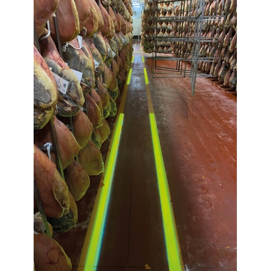 Projektor liniowy LED do wyznaczania ciągów komunikacyjnych XXL KNIGHT 50W, montaż 2,5 - 6 m, linia 5 - 14 m, zielony